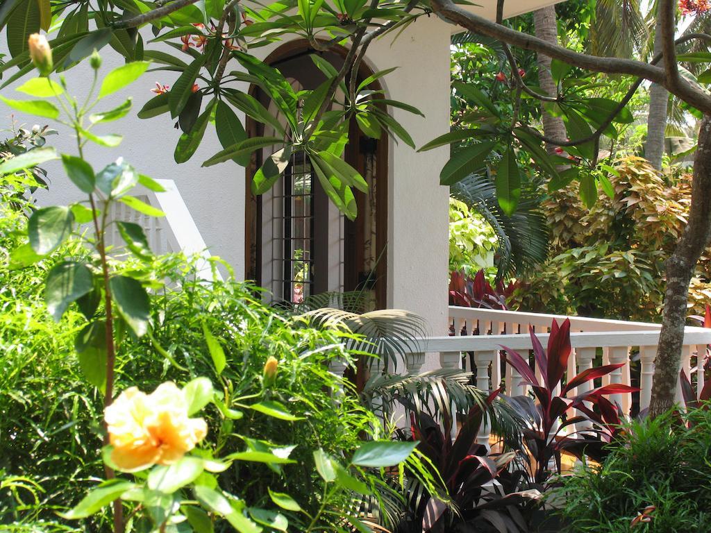 Albuquerque Betterhomes, Goa Candolim Kamer foto